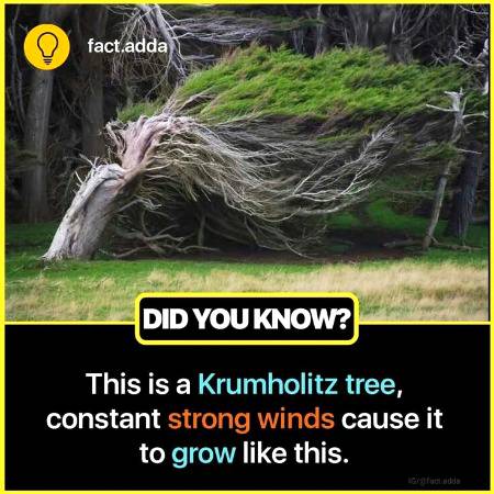 Did you know