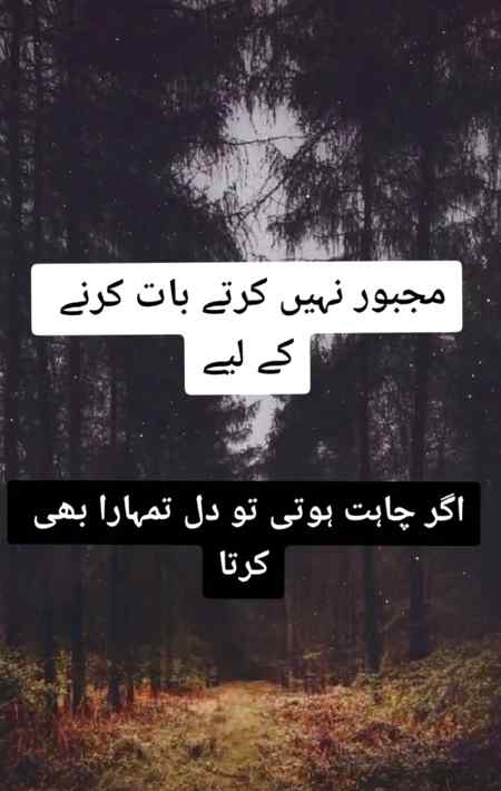 Shah Jee.....😘😍😘😍😘😍😘😍😘