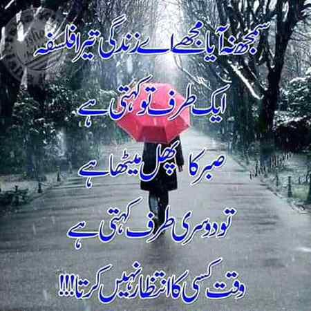 Hlo.friends