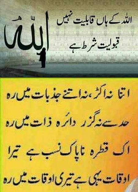 🌹🌹🌹صلی اللہ علی حبیبہ محمد نور من نوراللہ وعلی آلہ واہل بیتہ وعترتہ وازواجہ وصحبہ وجدہ وذریتہ و کل امتہ وبارک وسلم کثیراً کثیرا و دائماً ابدا 🌹🌹🌹