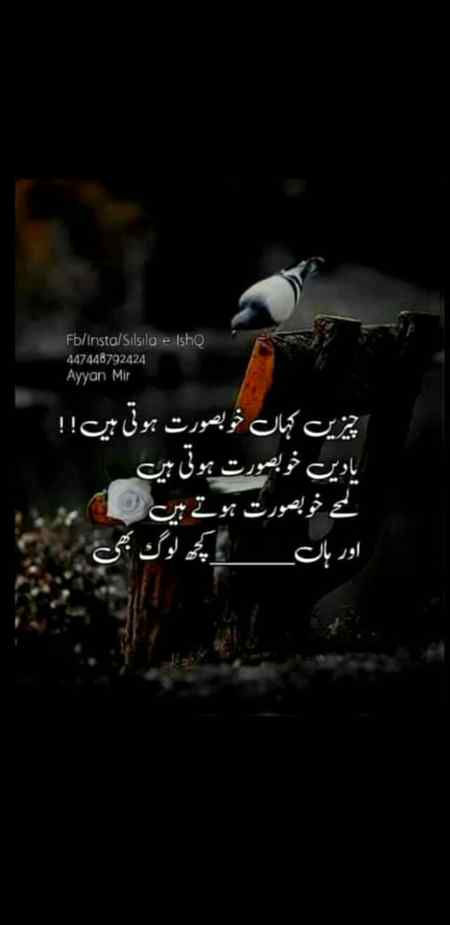 Ar han kuch khubsurat hoty ha😘😘😘😘