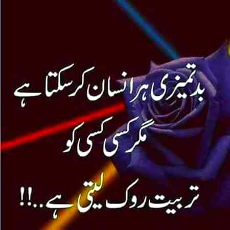 Wo mojsa pyar kar nhi sahkti or m usy nafrat nhi kar sahkta