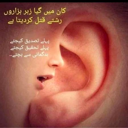 نفرت بری ہے اس کو نہ پالیئے
بغض و قدورت کو اپنے دل سے نکالیئے
یہ رشتے بڑے انمول ہوتے ہیں الیاس
انہی سے ہے تیرا نام خدارا انکو سنبھالیئے ۔۔۔