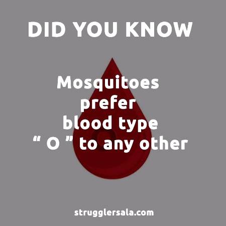 Do you know that ??