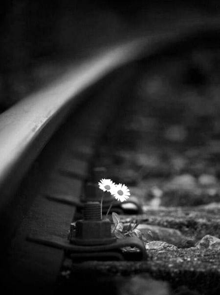 اے انسان تو ہر وقت اللّٰه کے احسانات یاد کیا کر۔۔۔
 غور کیا کر کہ ہر سانس رب العزت کی عنایت ہے۔۔
 یوں دل میں شکر گزاری پیدا ہوگی۔۔۔۔
 پھر تُو بے بسی محسوس کرے گا کہ اتنے احسانات کا شکر کیسے ادا کیا جاسکتا ہے۔۔
 وہ بے بسی تیرے دل میں محبت پیدا کرے گی۔۔
»•✧⁩⁦〰️⁩ تو سوچے گا کہ مالک نے بغیر کسی غرض کے تجھے اتنا نوازا ، تجھ سے محبت کی
 تو غور کر کہ اتنی بڑی دنیا میں کروڑوں انسانوں کے بیچ میں تو کتنا حقیر ہے
 سینکڑوں کے مجمع میں بھی تیری پہچان نہی
 کوئی تجھ پر دوسری نظر بھی نہیں ڈالے گا
 کسی کو پروا نہیں ہوگی کہ تو بھی ہے،، لیکن تیرا رب کروڑوں انسانوں کے بیچ بھی تجھے یاد رکھتا ہے، تیری ضرورت پوری کرتا ہے، تیری بہتری سوچتا ہے اور تجھے اہمیت دیتا ہے۔۔۔
 ان سب باتوں پر غور کرتا رہے گا تو تیرے دل میں اللّٰه کی محبت پیدا ہو گی