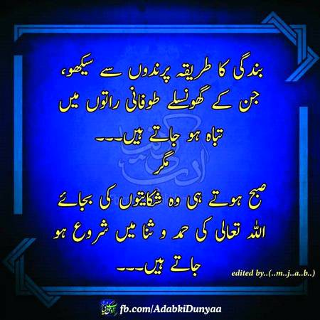 Beshakk😊😊