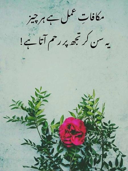 (｡◕‿◕｡)➜⟵(o_O)