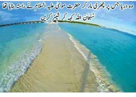 Share with other