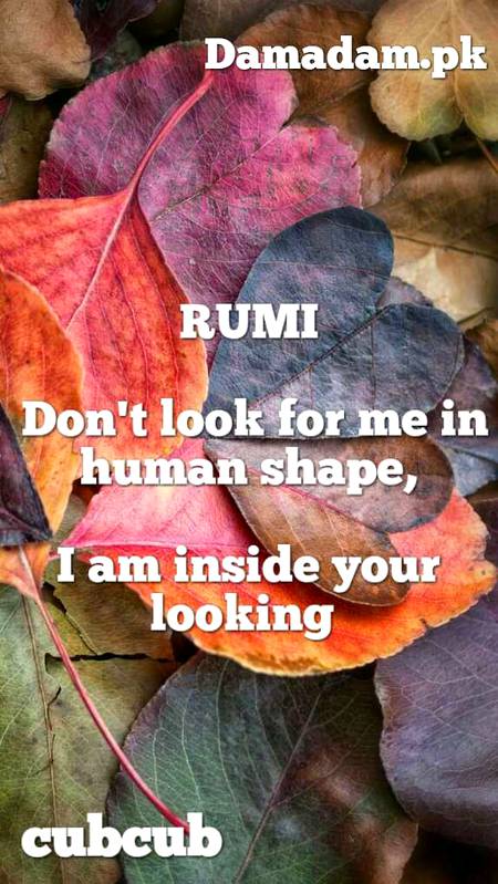 Rumi's words