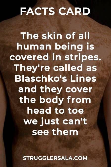 Do you know that about our skin??
