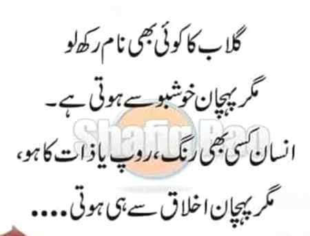 Khush rahn sb 🙂
