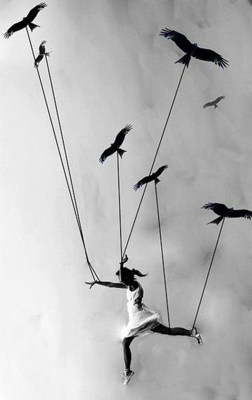 Learn to fly with ravens.