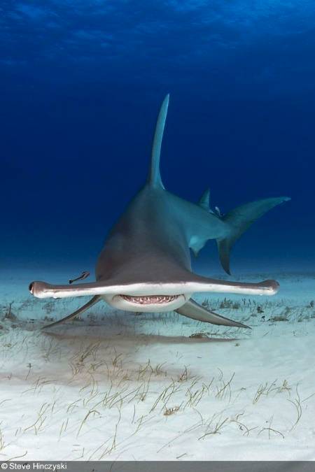 Photography 🔥🔥