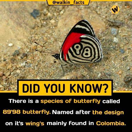 DID YOU KNOW??