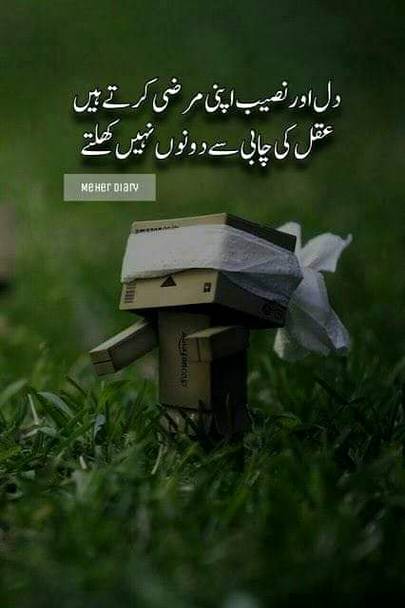Nice word