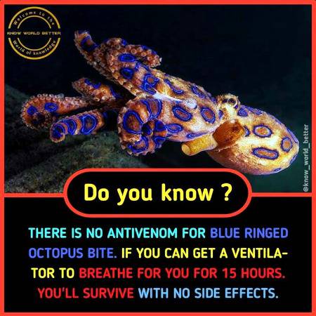 Did you know