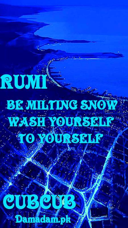 RUMI'S WORDS