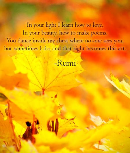 RUMI'S WORDS