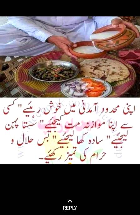 Thora kha lein, halal kha lein. Paisy sy dil ka skoon ni kharida ja skta....
