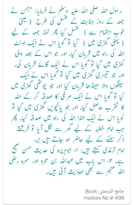 Jummy k adab