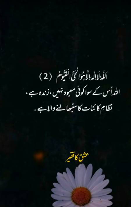 MashAllah 💖🥰😍🤩😊