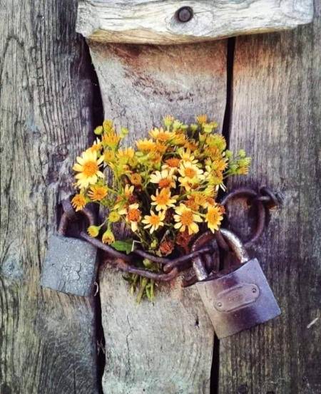 _بعض دکھ بھی گونگے انسان کی طرح ہوتے ہیــــں جو نہ بتائے جا سکتے ہیــــں نہ سمجھاۓ جا سکتے ہیــــں بس چپ چاپ پالے جاتے ہیــــں
