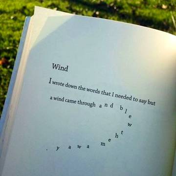 Blew then away...🌺