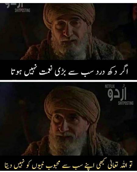 Osam words