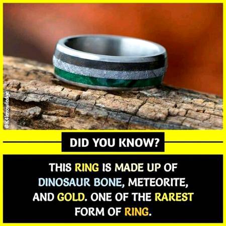 DID YOU KNOW??