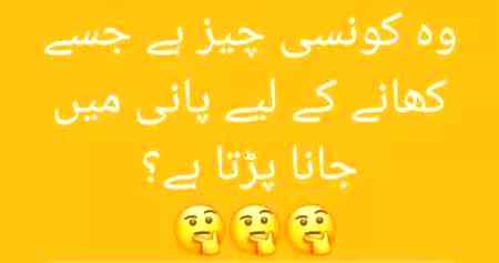 Questions No5 btao ab khy hi ans👈👈👈👈