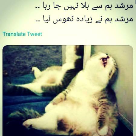 Kam khaya kro yar