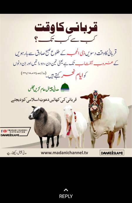 Qurbani ka waqt....