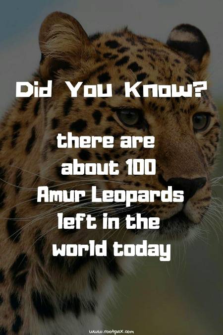 Did you know
