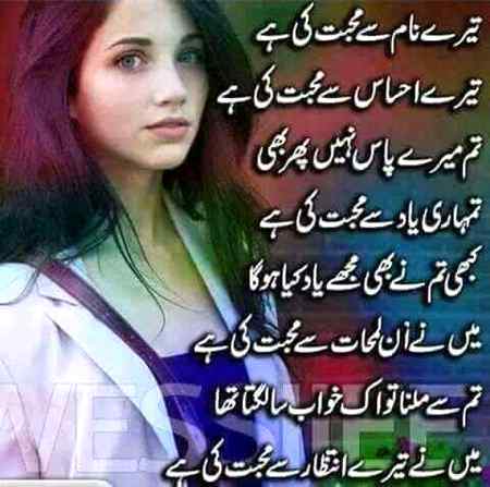 ہیلودوست