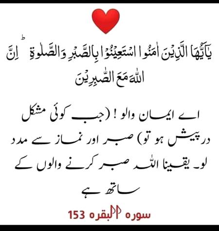 Beshak.. ...