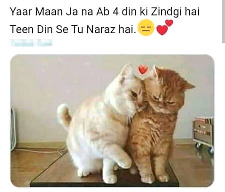 Jab apki bestie naraz ho apsy 👇 ❤️