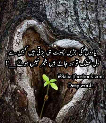 ❤❤❤❤❤🌹🌹🌹🌹🌹❤❤❤❤🌹