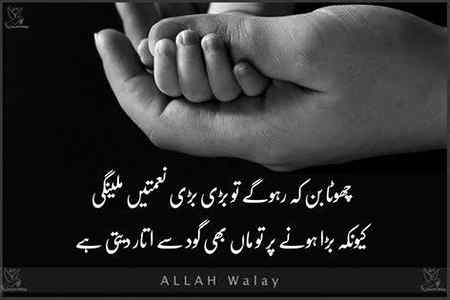 🌺🌺Bilkul🌺🌺