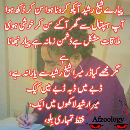 Biloo jani