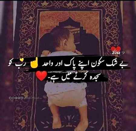 اسے تو سمجھ آگئی آپ بھی سمجھ جائیے نا۔😟😟