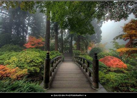 The bridge of Portland