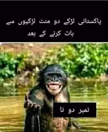 Dedicate to all damadam boys😏