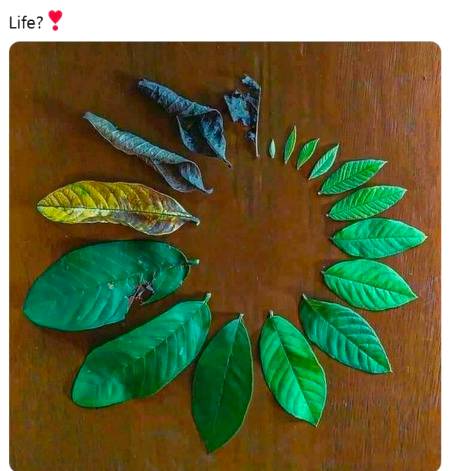 Just like seasons people are changed and this is life✌✔💯