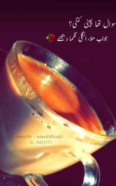 hlo friends