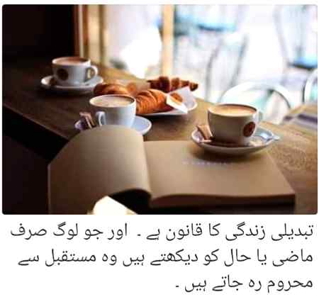 🌹💐 .q1 🌹💐