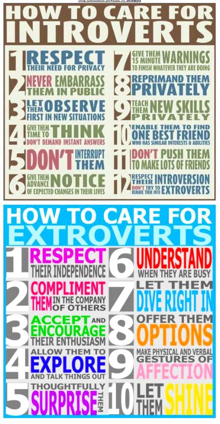 How to care for Introverts
