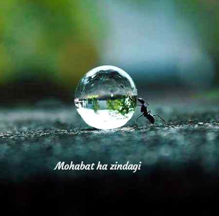 Sending by fareed ahmed shaikh