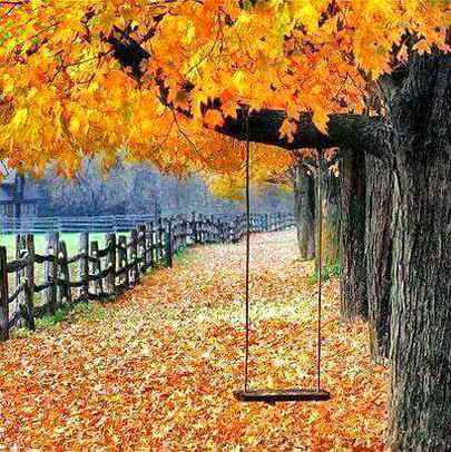 Miss You Friends 😭😭😭😭😭