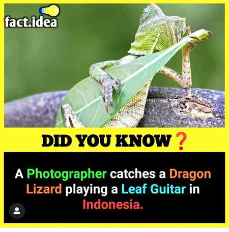 Did you know?