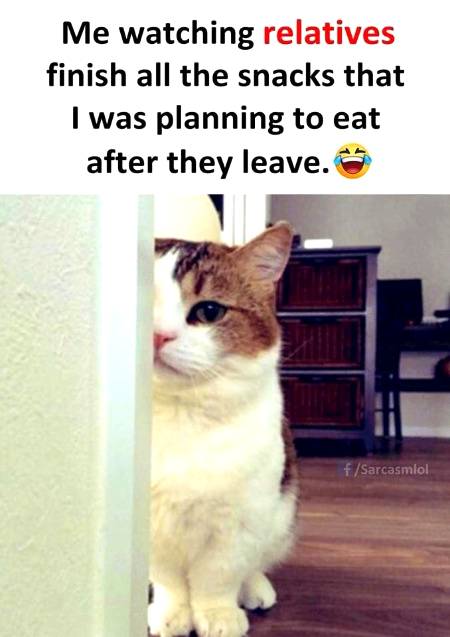-_-....and relatives eat all...kinda fun